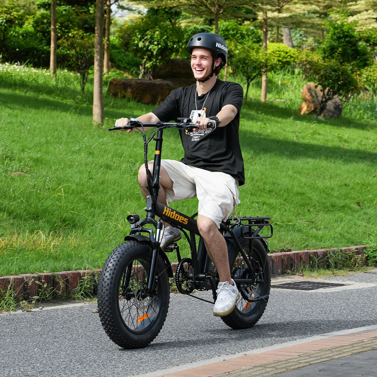 Hidoes F3 Electric Bike 250W 48V 13Ah 12