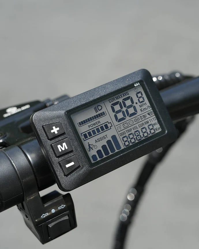 Hidoes F3 Electric Bike 250W 48V 13Ah 7