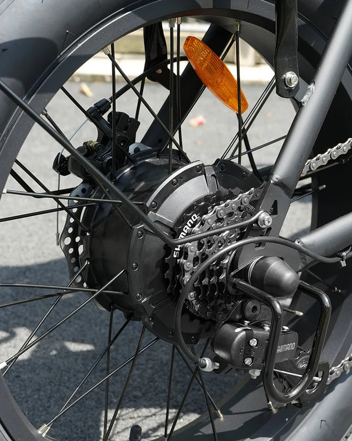 Hidoes F3 Electric Bike 250W 48V 13Ah 8