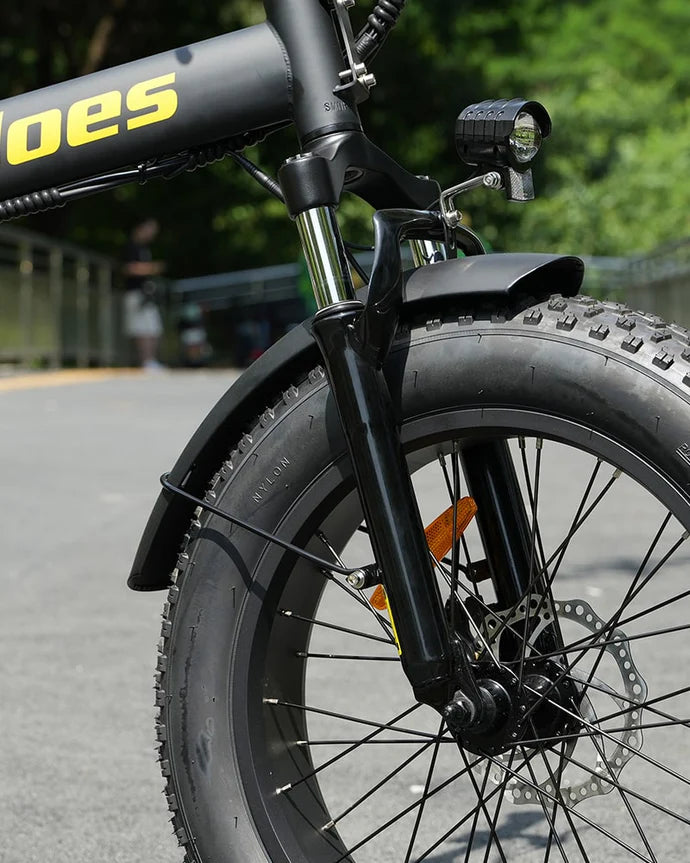 Hidoes F3 Electric Bike 250W 48V 13Ah 9