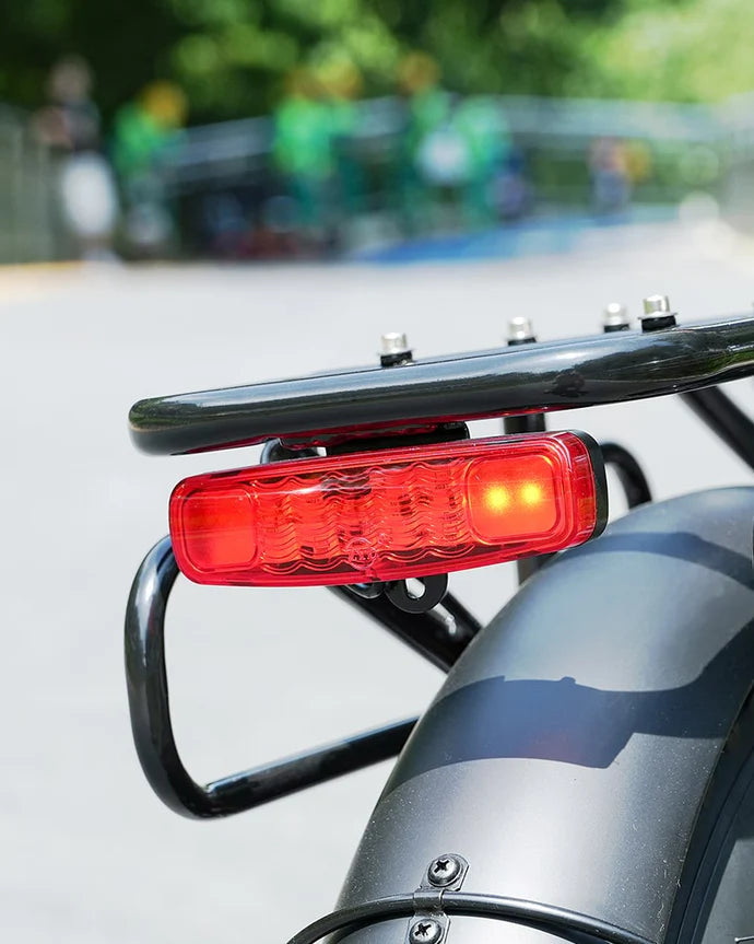 Hidoes F3 Electric Bike 250W 48V 13Ah 10