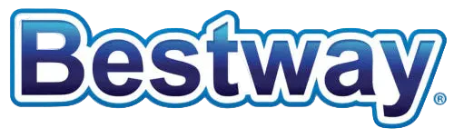 Bestway swimming pool with family