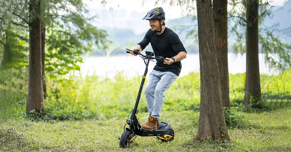 iENYRID Electric Scooters - Trail Surge