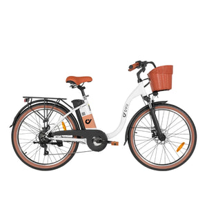 DYU C6 Pro Electric Bike