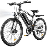 Isinwheel M50 Full Suspension Electric Bike