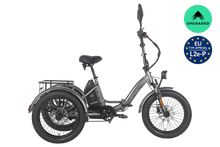 Fafrees F20 Mate HS Electric Trike