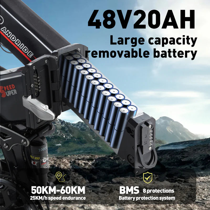 Randride YX20M-2 Folding Electric Bike Randride