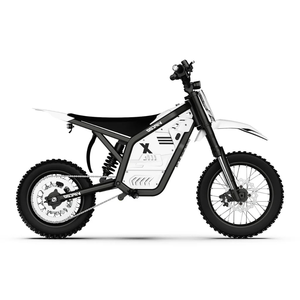 Vipcoo H2 Electric Dirt Bike 1