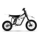 Vipcoo H2 Electric Dirt Bike