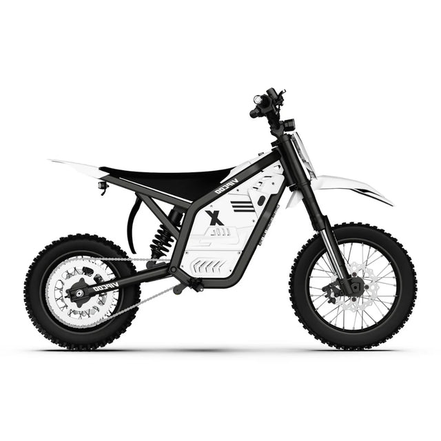 Vipcoo H2 Electric Dirt Bike