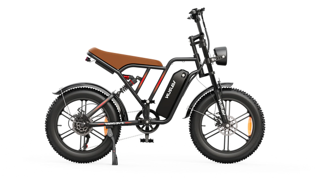 Varun X-Plorer Electric Bike 250W 48V 13Ah