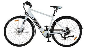 Varun S700-7 Electric Bike