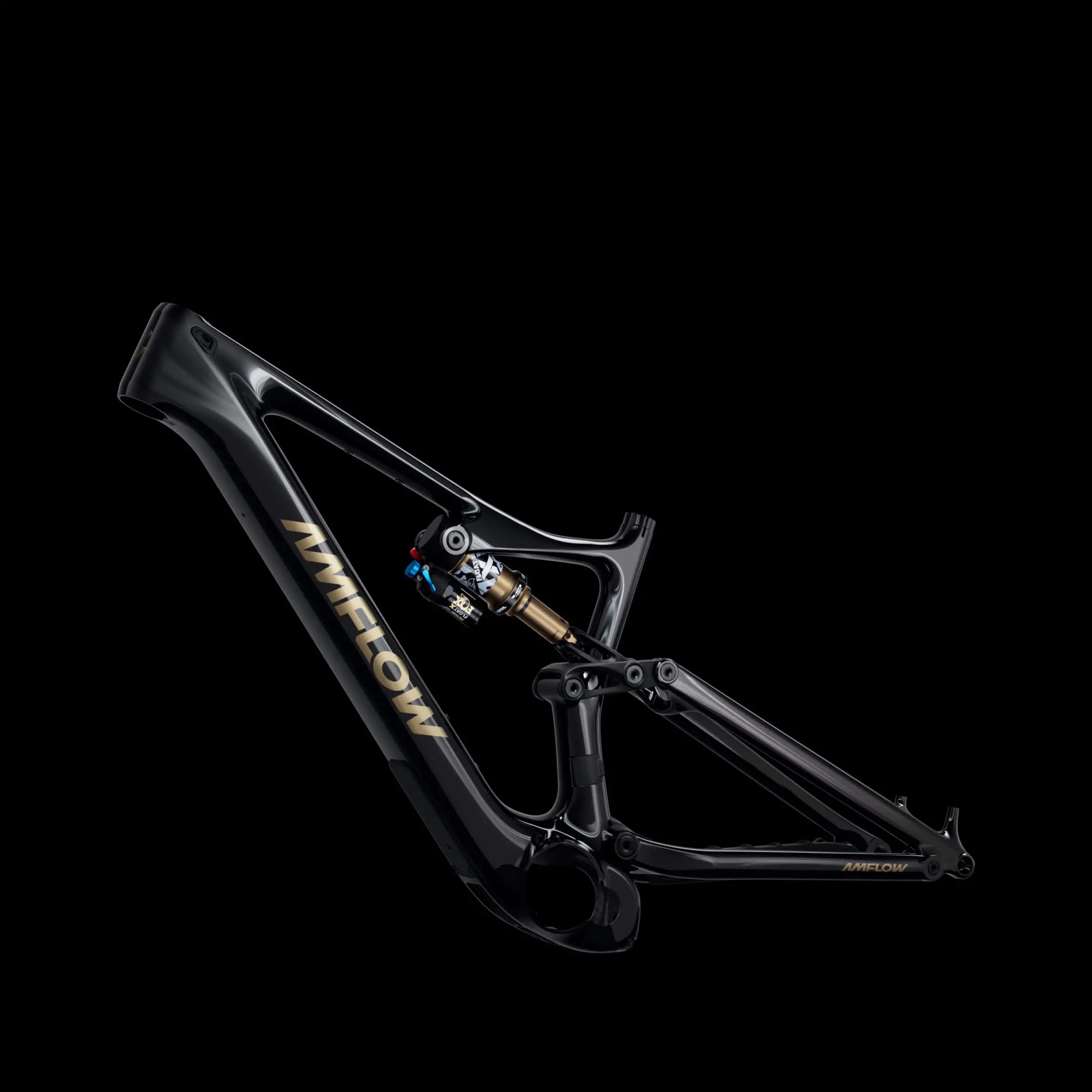 Amflow PL Carbon Electric Bike 3