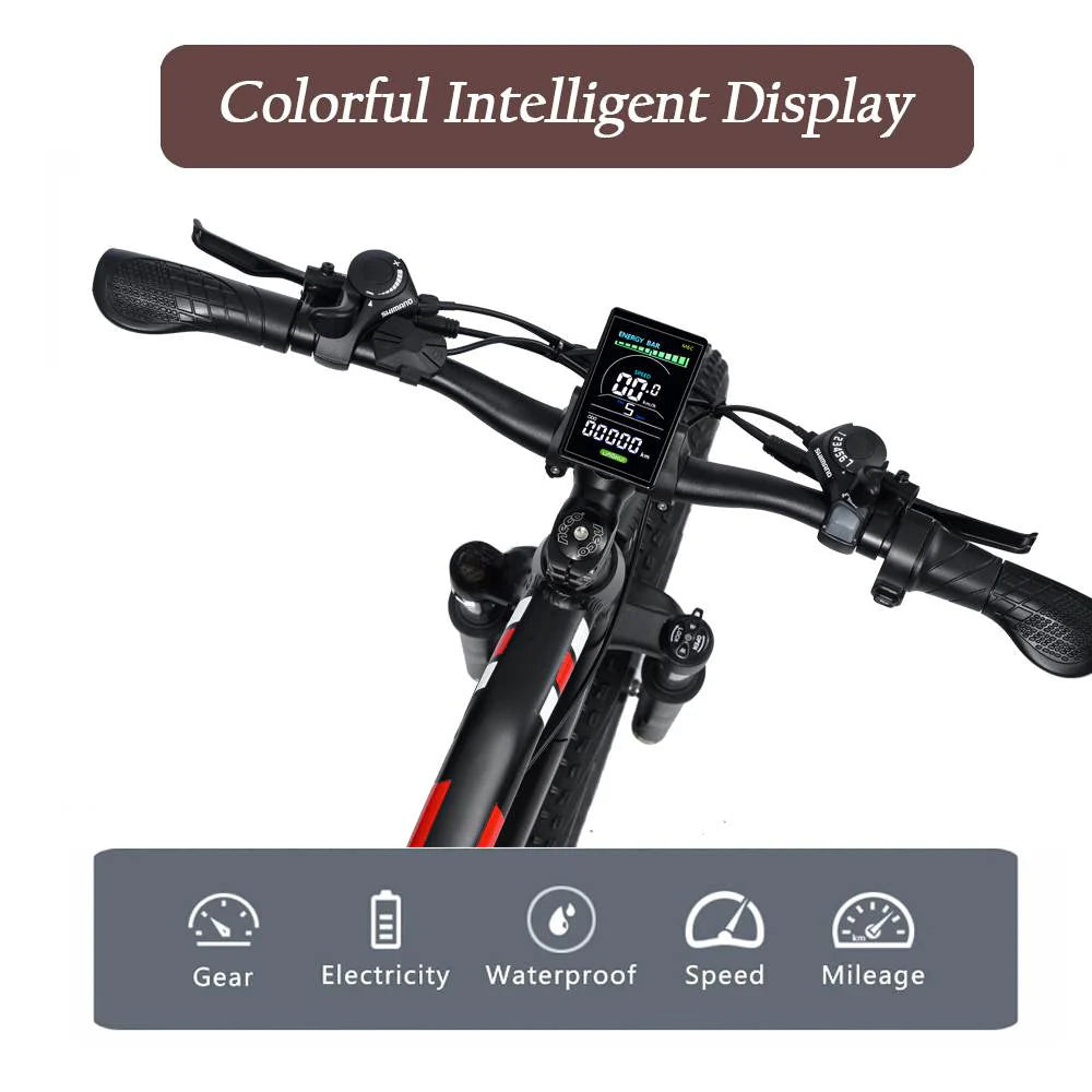 Randride YX90M Electric Bike Randride