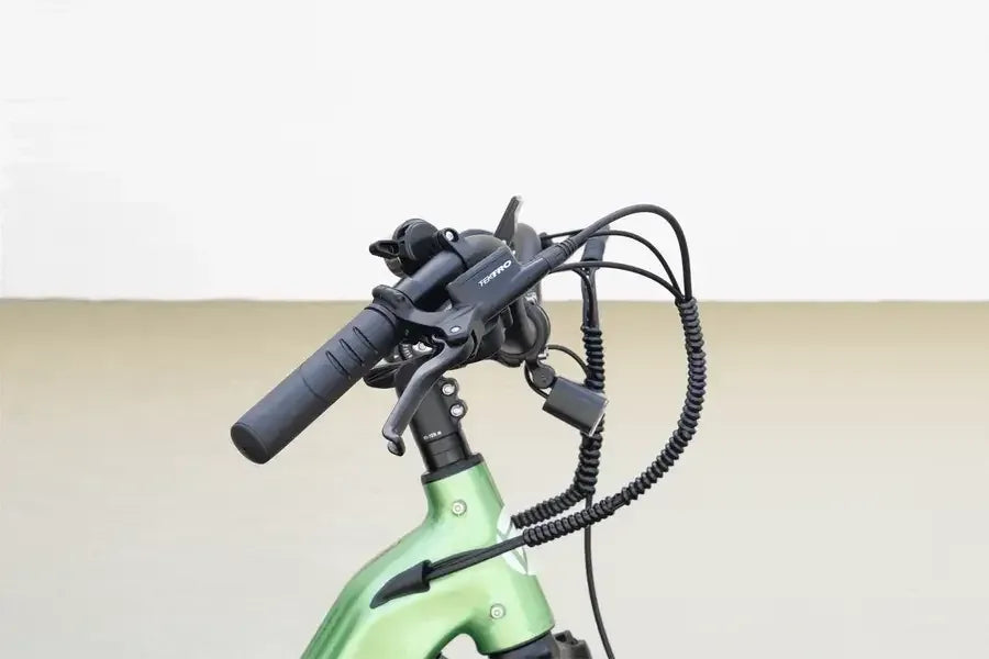 Cyrusher Sprint Electric City Bike 21