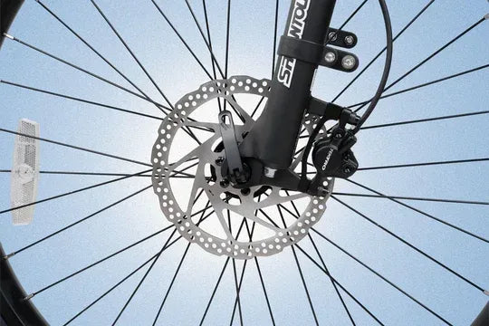Cyrusher Flex Electric Mountain Bike 10