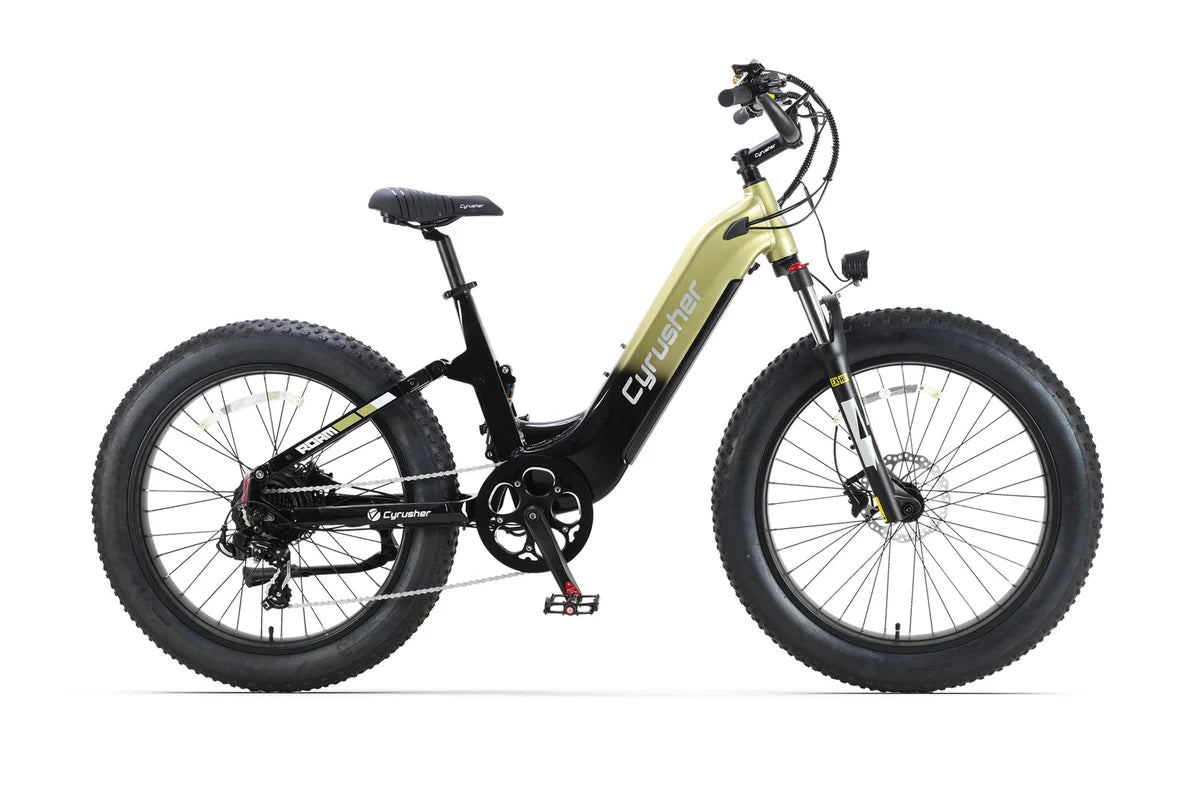 Cyrusher Roam Electric Bike 250W 52V 15.6Ah 8