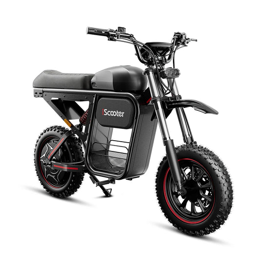 iScooter DX5 Max Electric Bike