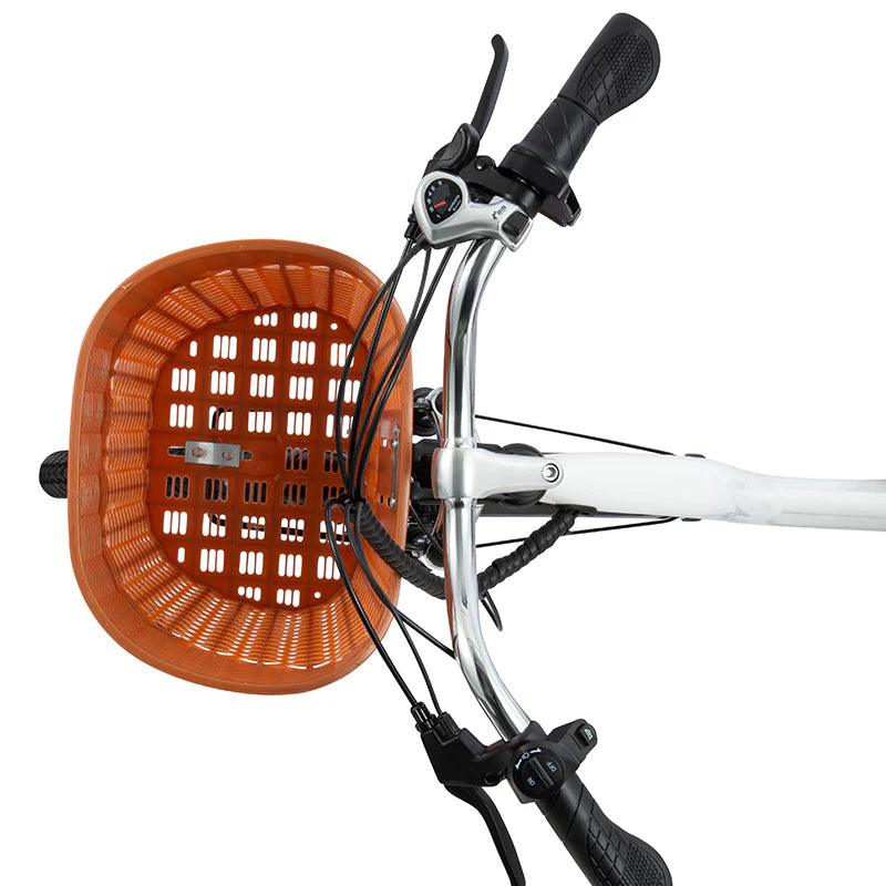 DYU C6 Electric Bike 250W 36V 12.5AH 9