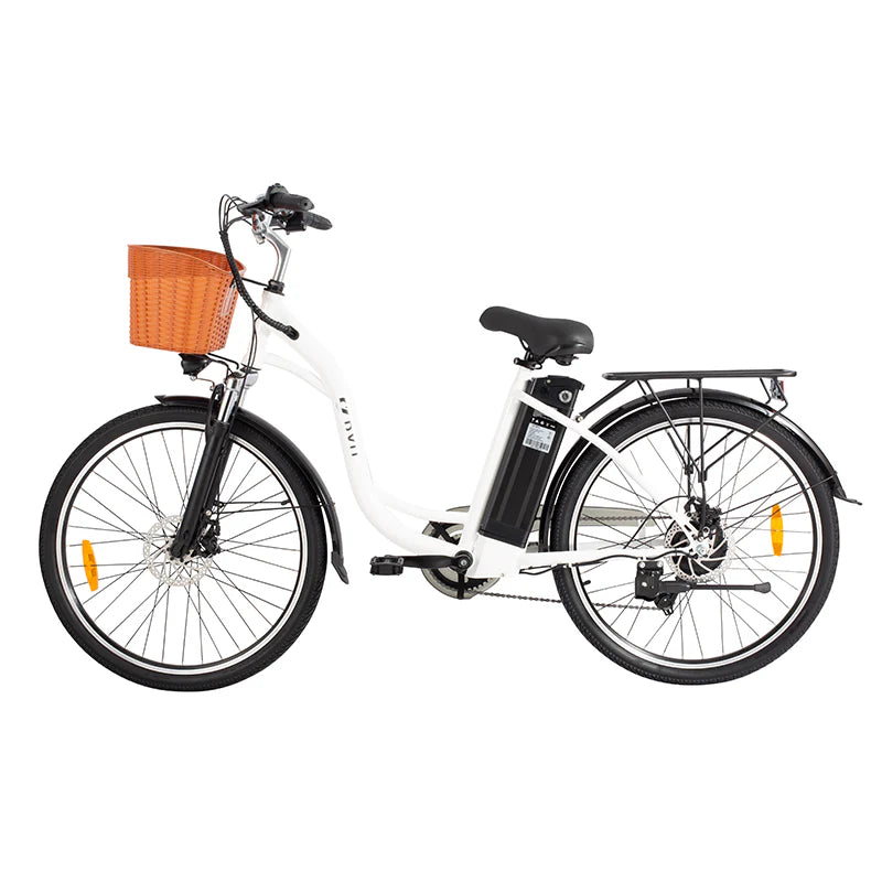 DYU C6 Electric Bike 250W 36V 12.5AH 7