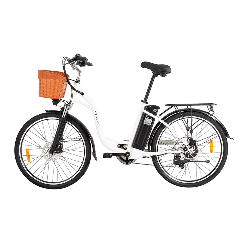 DYU C6 Electric Bike 250W 36V 12.5AH 2