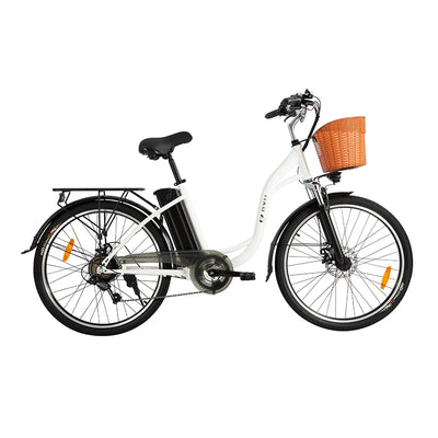 DYU C6 Electric Bike 250W 36V 12.5AH DYU