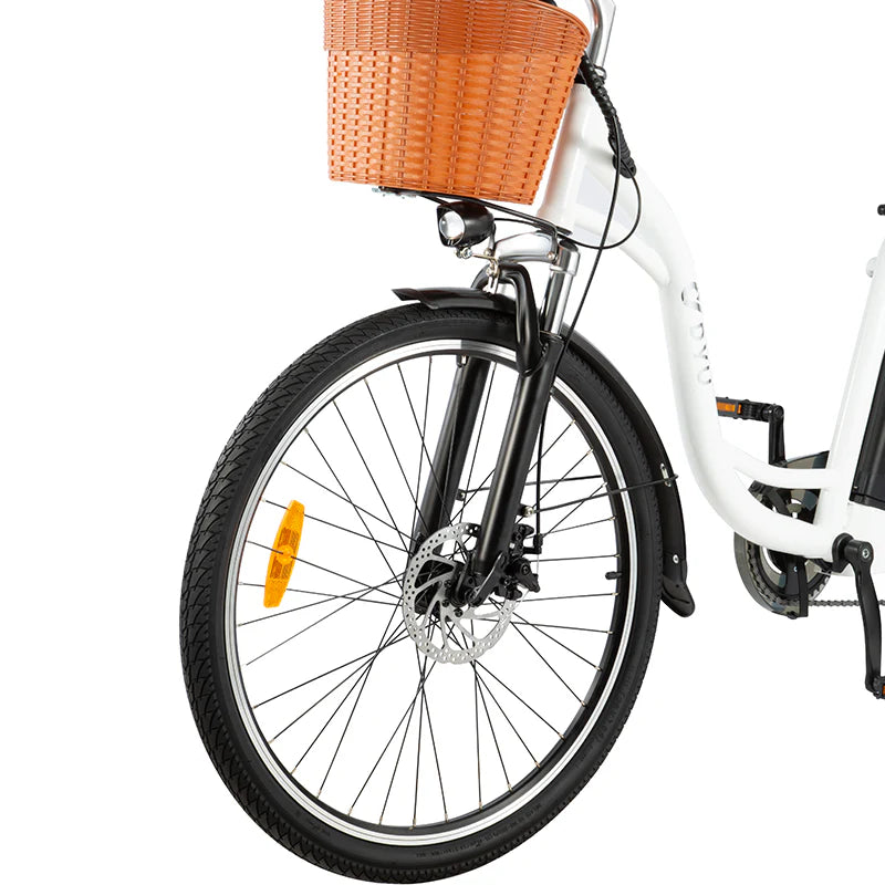 DYU C6 Electric Bike 250W 36V 12.5AH 12