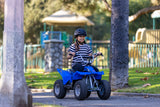 Razor Dirt Quad 24V Electric Quad Bike