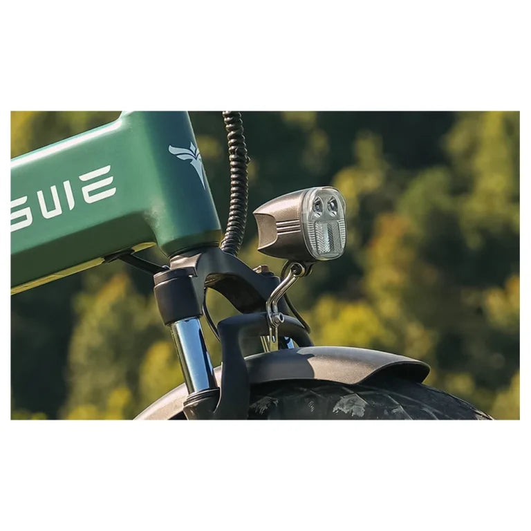 Engwe EP-2 3.0 Boost Electric Bike 250W 48V 13.5AH With Torque Sensor 14