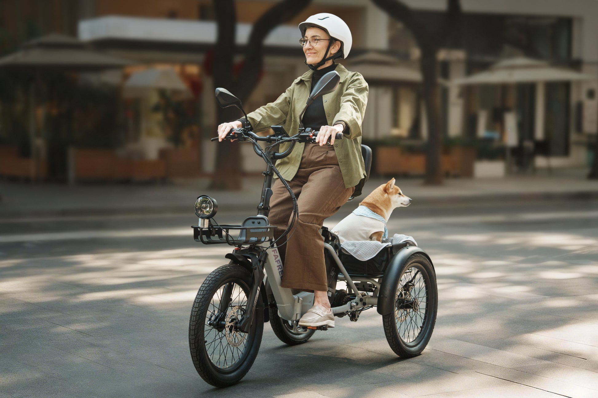 Fafrees F20 Mate II Electric Trike – Step-Through E-Trike – official gallery image 5