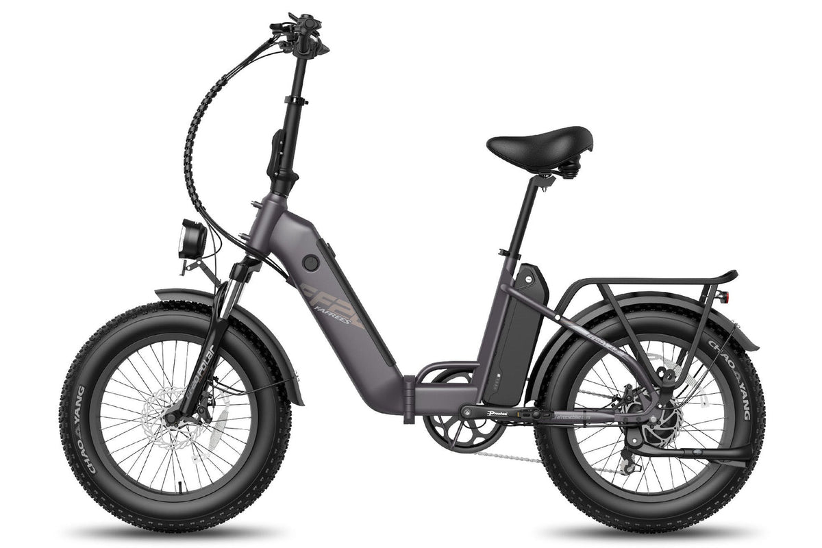 Fafrees FF20 Polar Dual Battery Electric Bike - image 5
