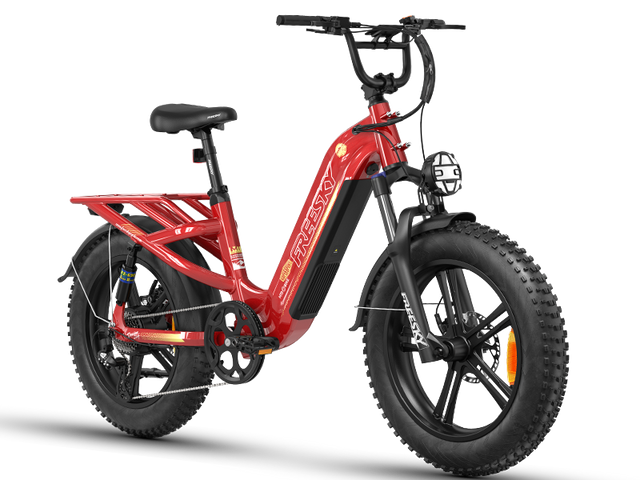 FREESKY Rocky Pro A-320 Electric Bike
