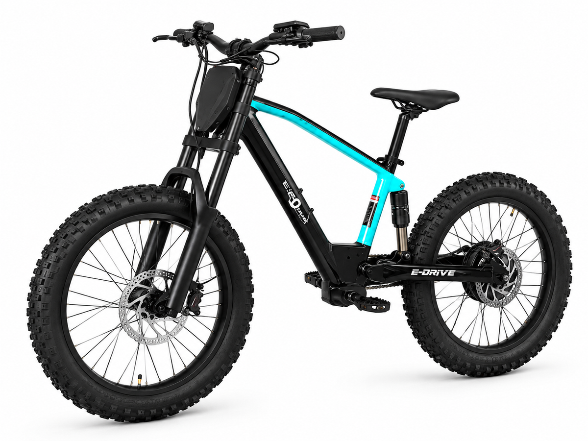 Neo Outlaw Max Pro 20" Kids Electric Bike 7