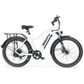 Hidoes BN1 Electric Bike 48V 13Ah