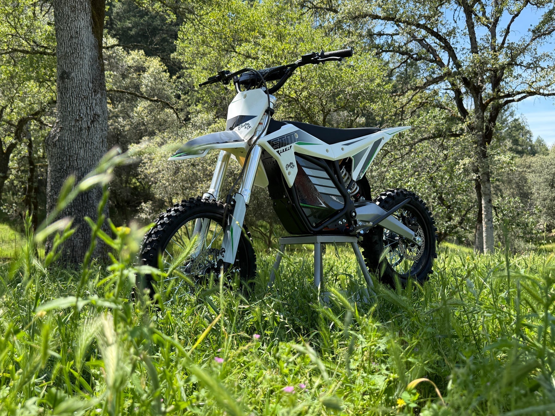 Electro & Co ETM RTR XL electric pit bike image 3