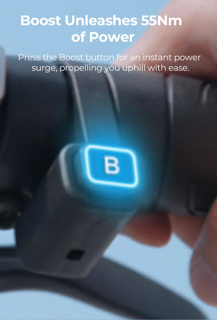 ENGWE EP-2 Boost Folding Electric Bike 250W 48V 13Ah 11