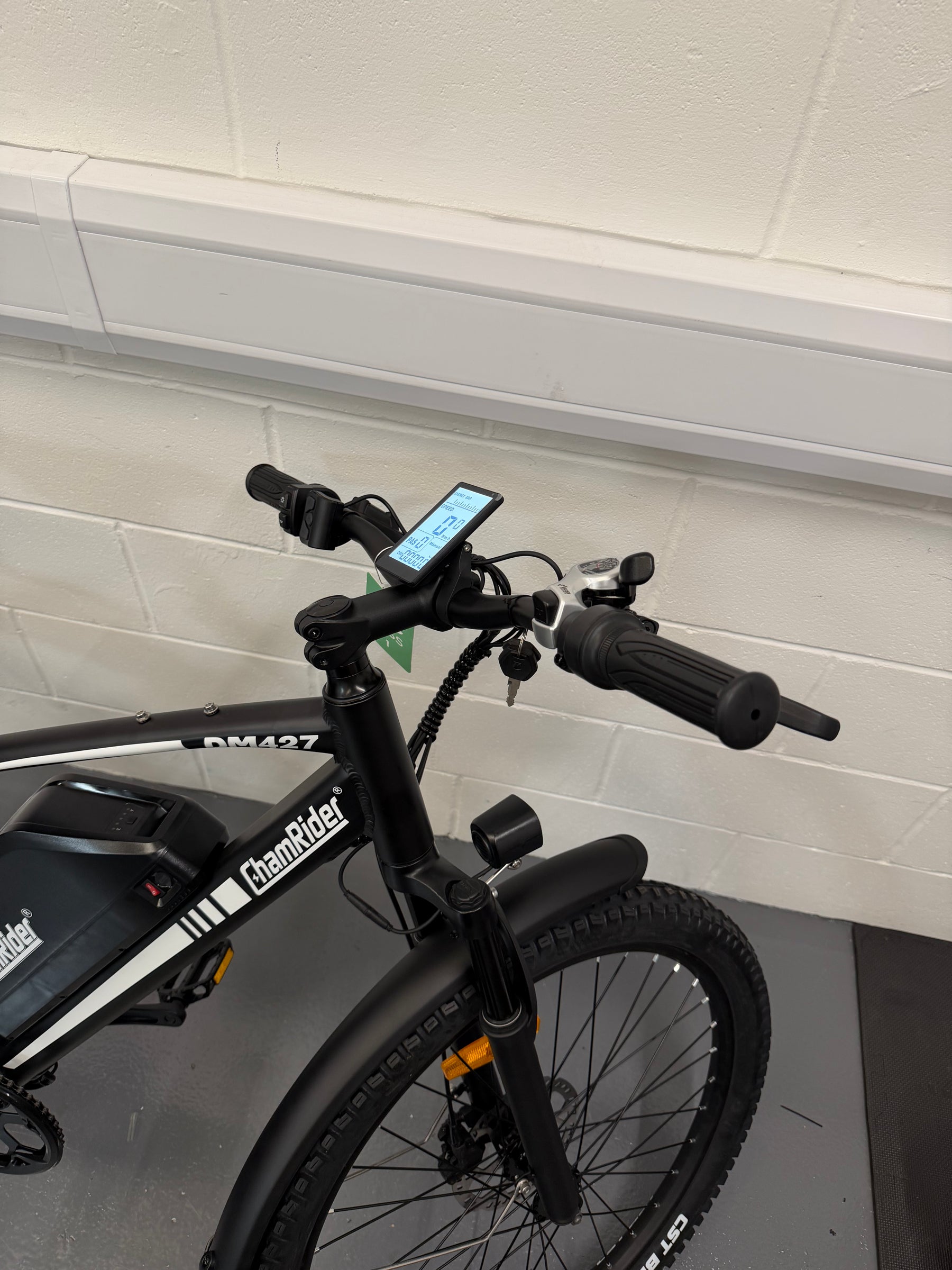 Chamrider DM427 Electric Bike