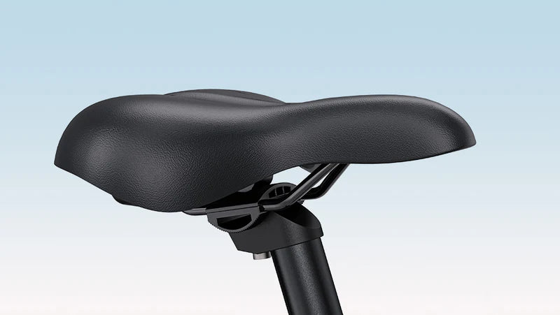 ENGWE P275 SE Electric Bike 250W 36V 13Ah 6