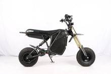 Electro & Co The Rizzler Electric Mini Bike