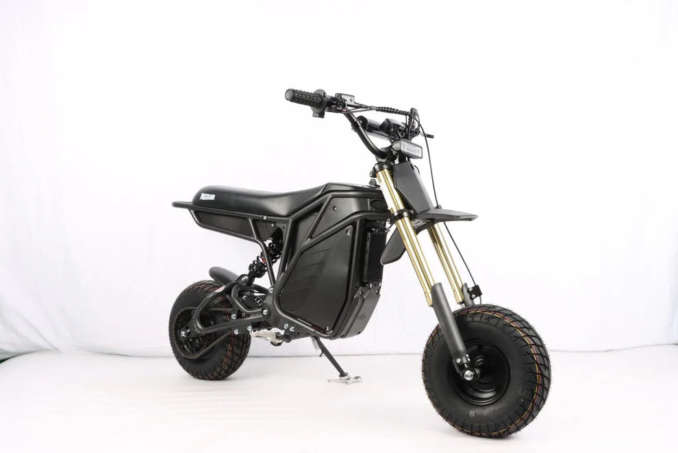 Electro & Co The Rizzler electric mini bike