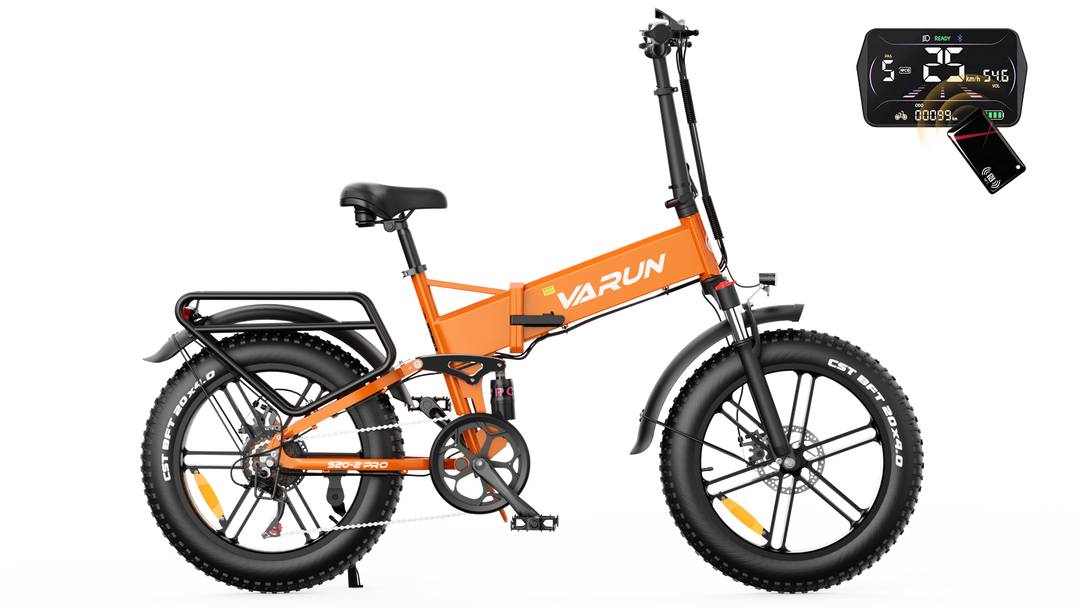 Varun S20-2 Pro Electric Bike 2