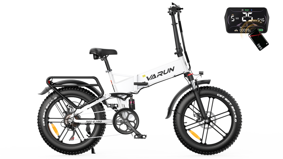 Varun S20-2 Pro Electric Bike 1