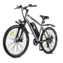 Twofish TF1 Electric Bike
