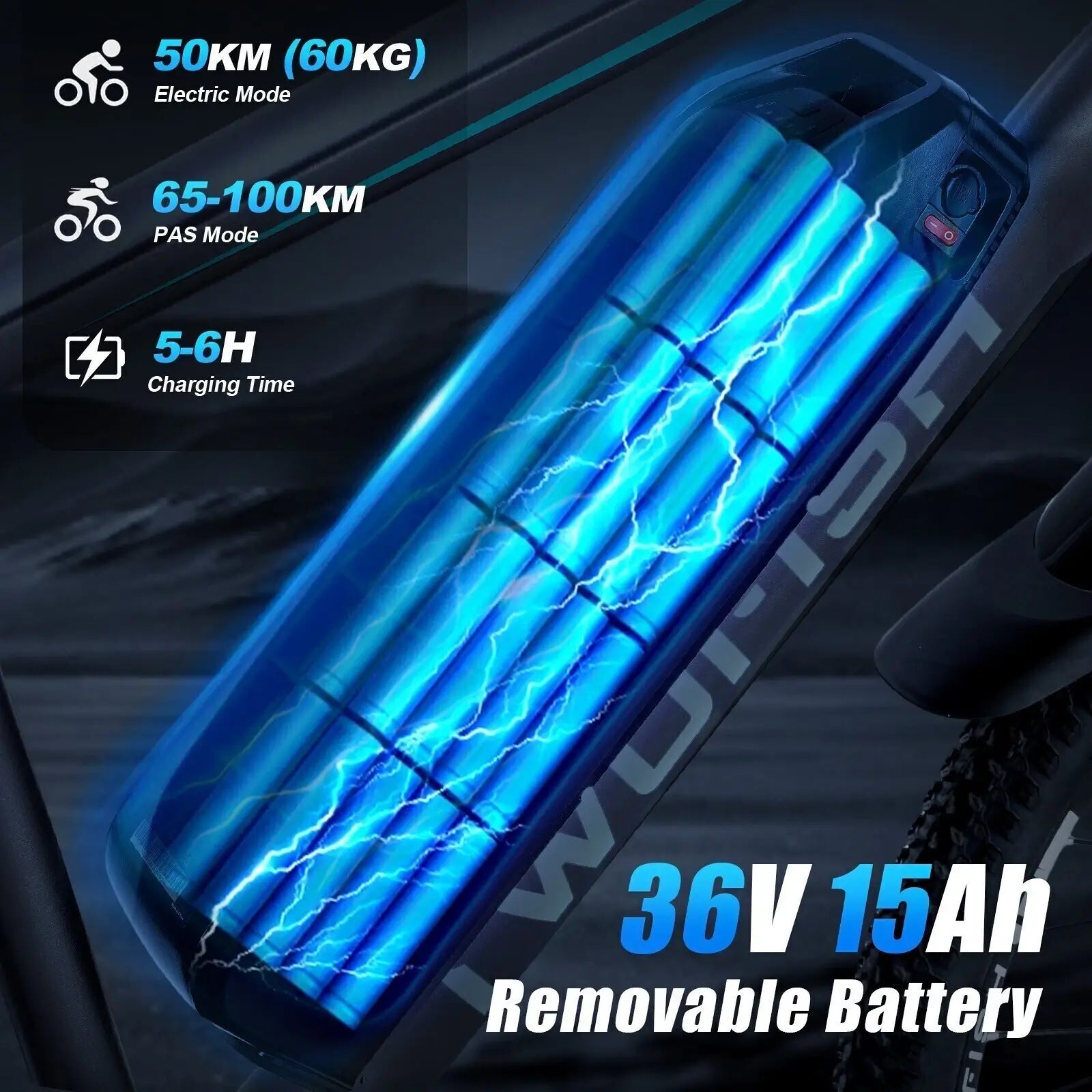 Twofish TF1 Electric Bike 8