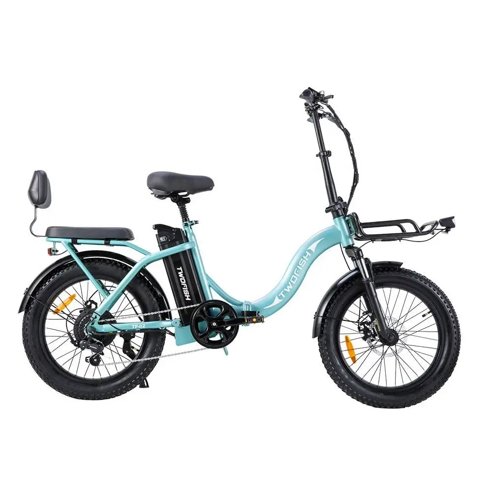 Twofish TF02 Electric Bike 3