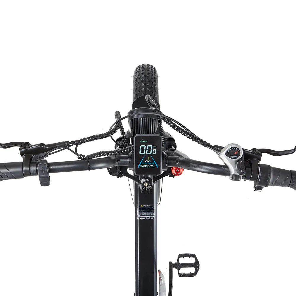 Randride YX20M-2 Folding Electric Bike Randride