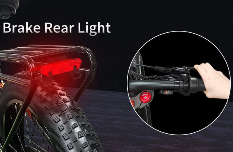 Randride YX80 Electric Mountain Bike 48V 20Ah Randride