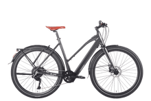 Fafrees F700W Electric Bike