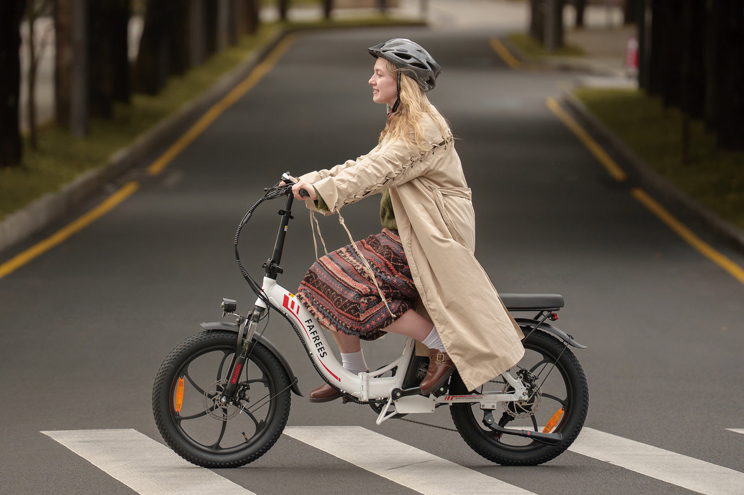 Fafrees F20 Folding Electric Bike - image 2
