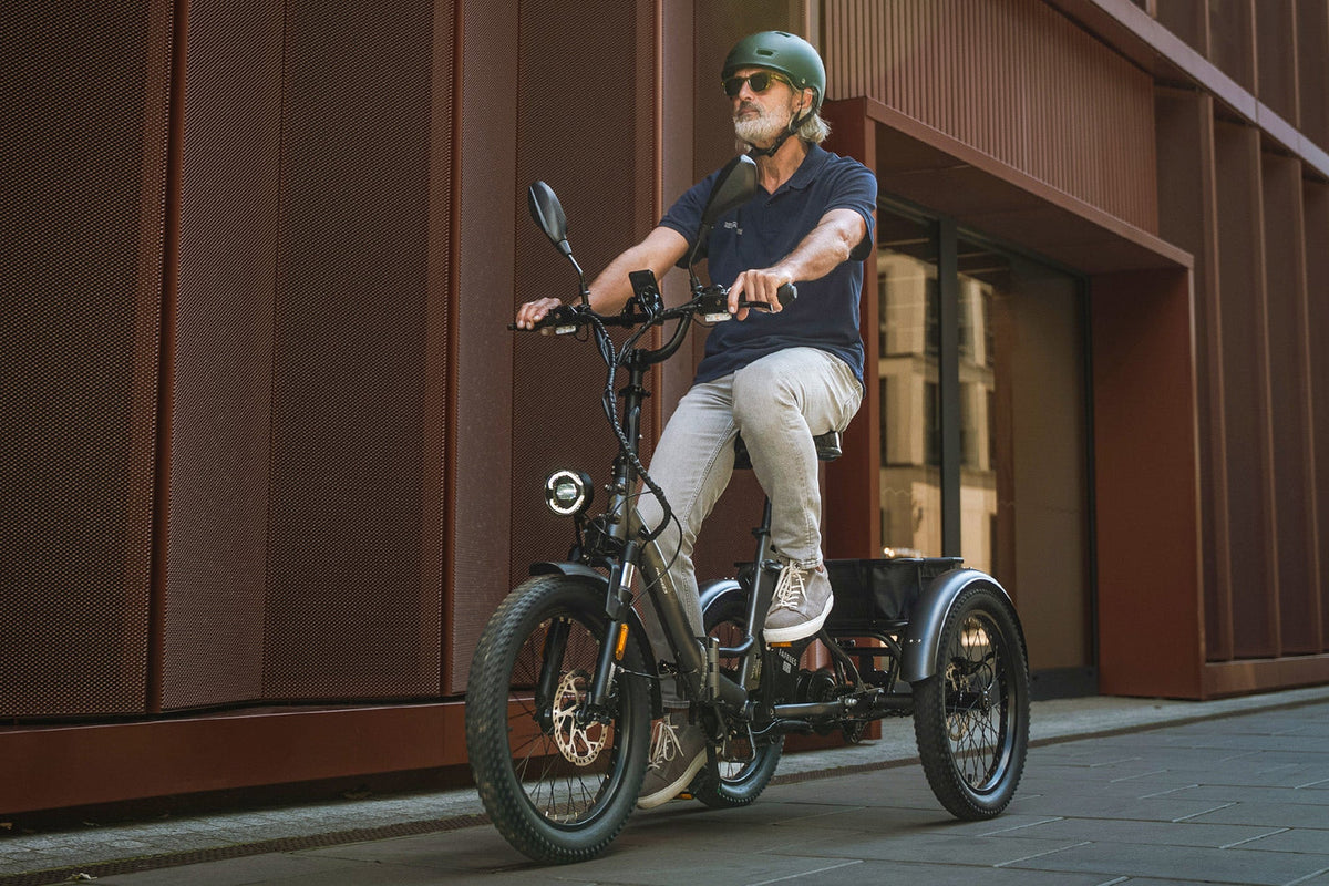 Fafrees F20 Mate HS Electric Trike - image 2